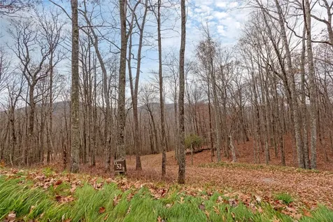 Lot D52 Springwater Road Glenville NC 28736