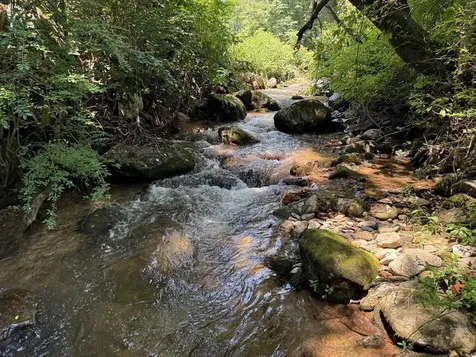 43 Wild Horse Road Sylva NC 28779