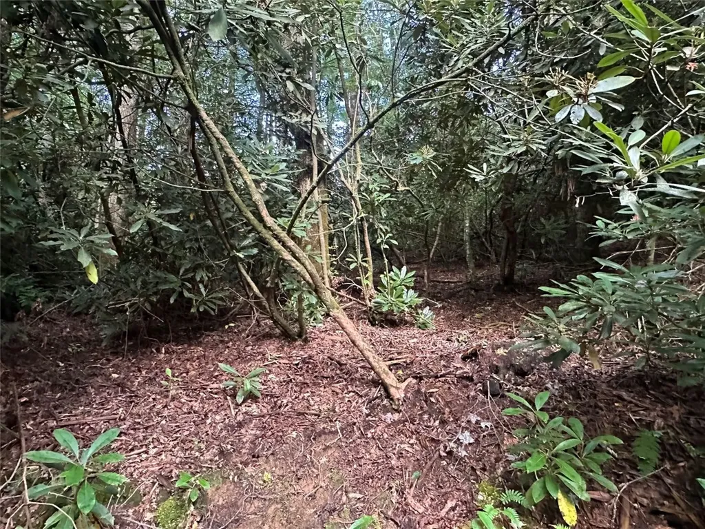 Lot 16 Toxaway Falls Drive Lake Toxaway NC 28747