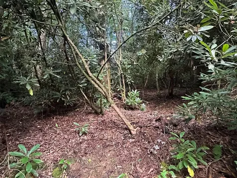 Lot 16 Toxaway Falls Drive Lake Toxaway NC 28747