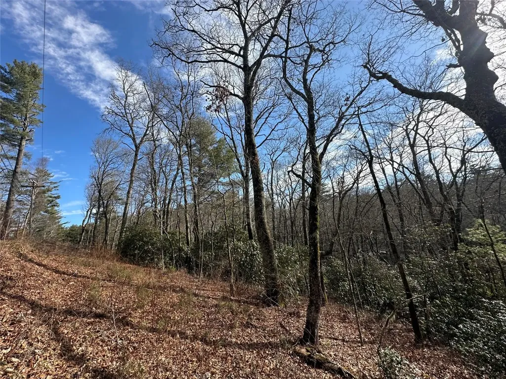 Tbd View Point Road Highlands NC 28741