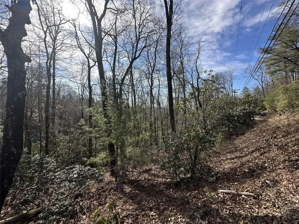 Tbd View Point Road Highlands NC 28741