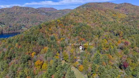 785 Gold Creek Road Sapphire NC 28774