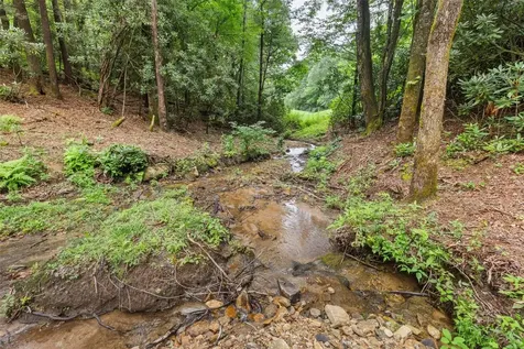 785 Gold Creek Road Sapphire NC 28774