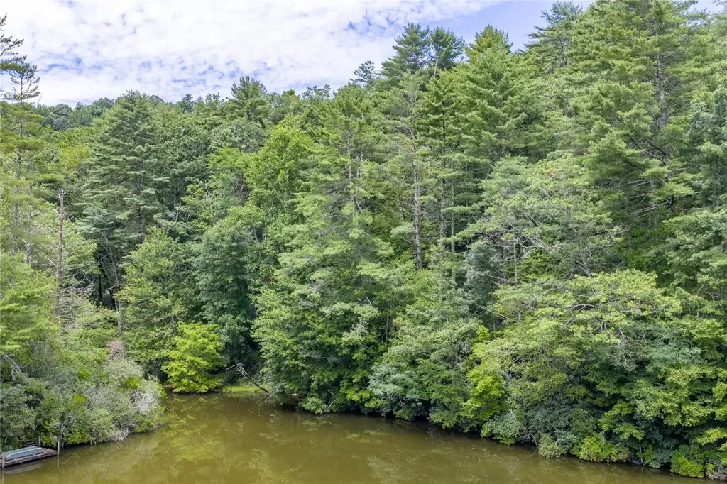 26,27 W Christy Trail Sapphire NC 28774