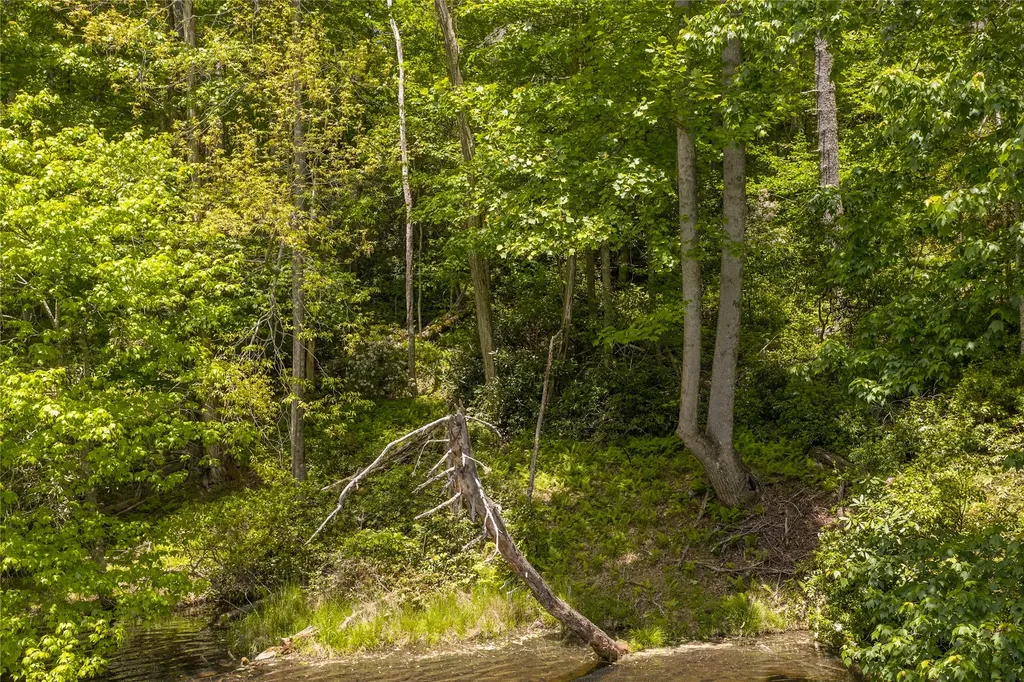 26,27 W Christy Trail Sapphire NC 28774