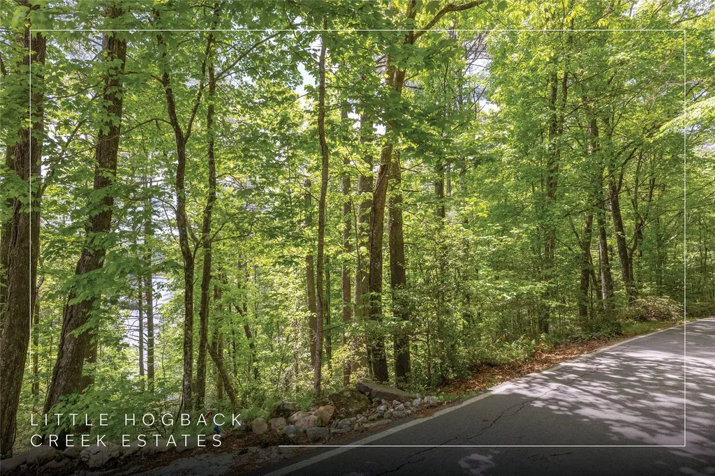 26,27 W Christy Trail Sapphire NC 28774