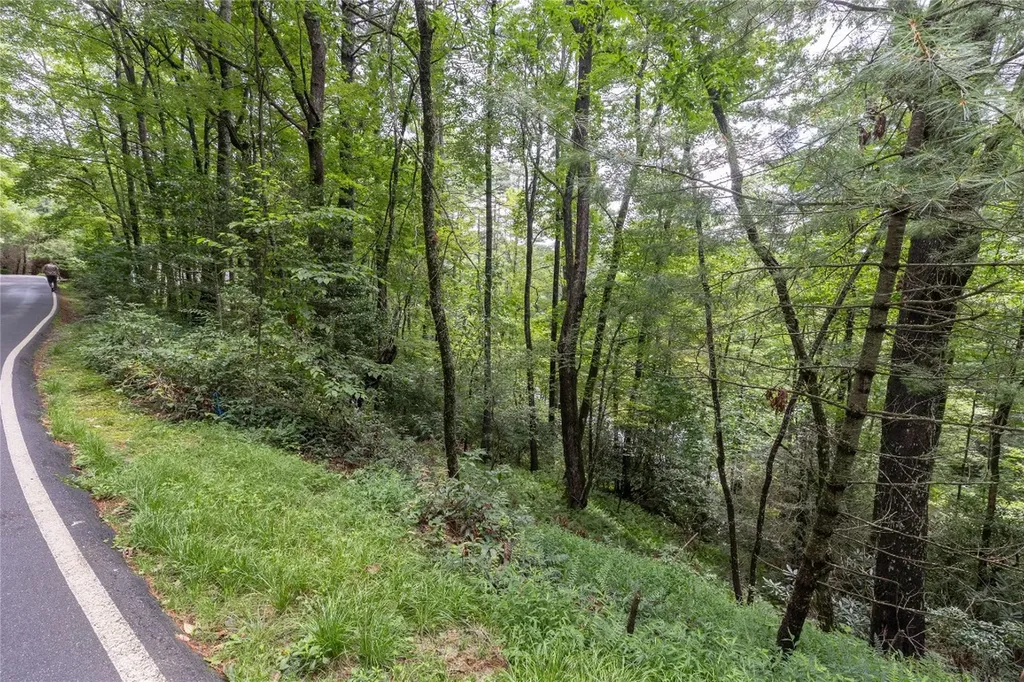 26,27 W Christy Trail Sapphire NC 28774