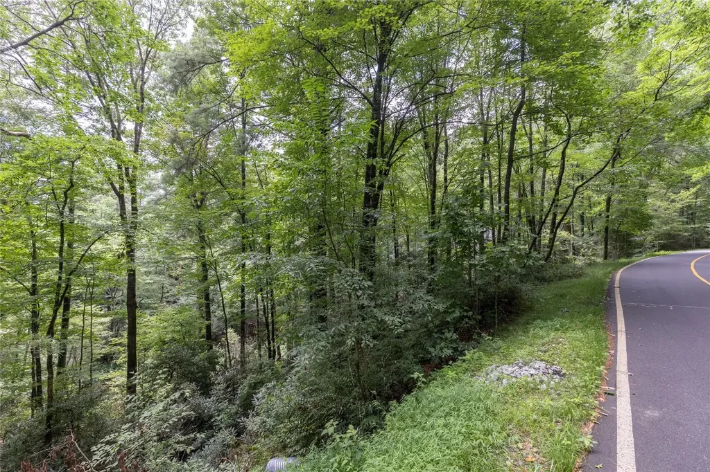 26,27 W Christy Trail Sapphire NC 28774