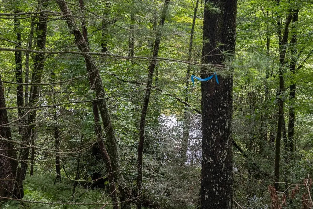 26,27 W Christy Trail Sapphire NC 28774