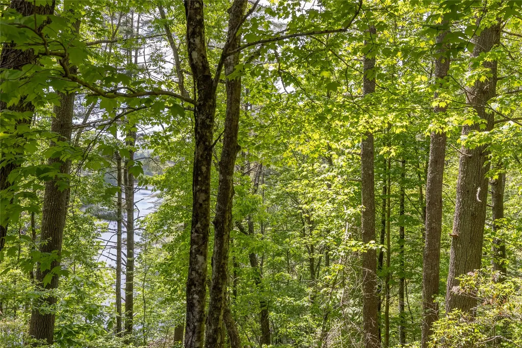 26,27 W Christy Trail Sapphire NC 28774