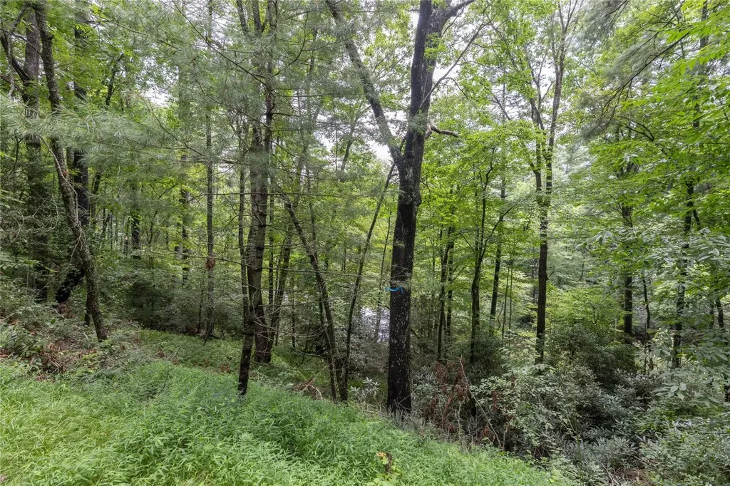 26,27 W Christy Trail Sapphire NC 28774