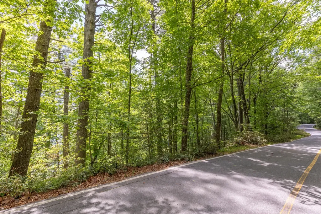 26,27 W Christy Trail Sapphire NC 28774