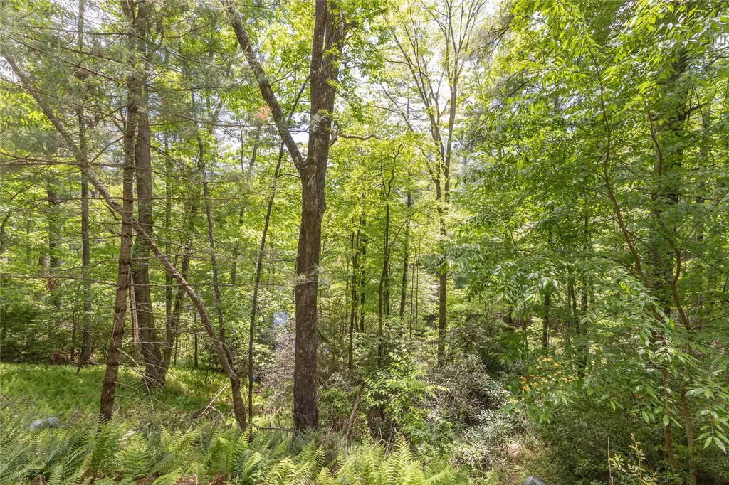 26,27 W Christy Trail Sapphire NC 28774