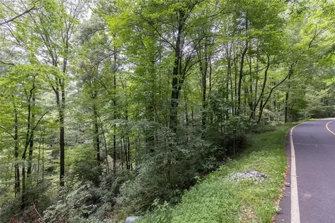 26,27 W Christy Trail Sapphire NC 28774