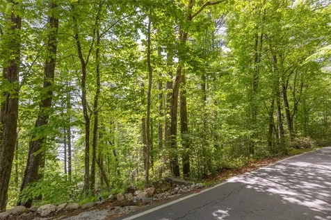 26,27 W Christy Trail Sapphire NC 28774