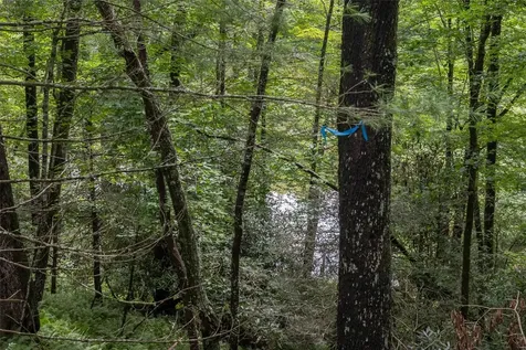 26,27 W Christy Trail Sapphire NC 28774