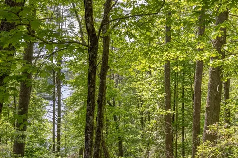 26,27 W Christy Trail Sapphire NC 28774