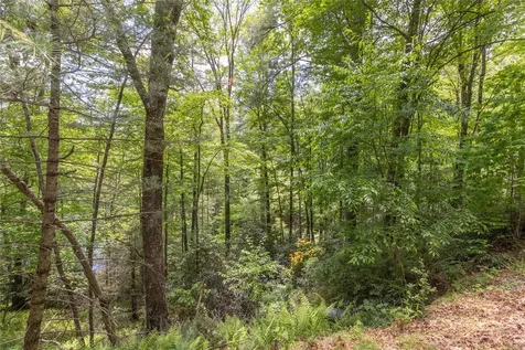 26,27 W Christy Trail Sapphire NC 28774