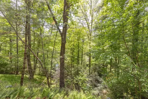 26,27 W Christy Trail Sapphire NC 28774