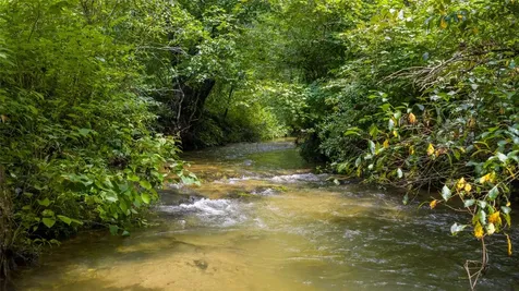 3175 Clear Creek Road Highlands NC 28741