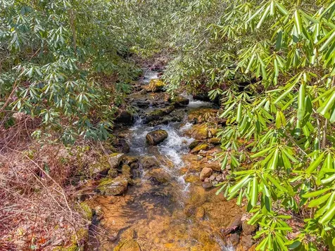 6736 Wayah Road Franklin NC 28734