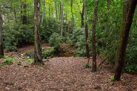35 Corrie Dale Cashiers NC 28717