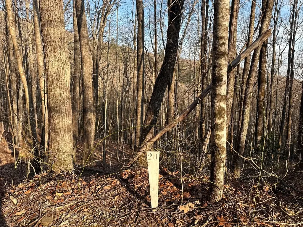 Lot 20 Rock Creek Court Sapphire NC 28774