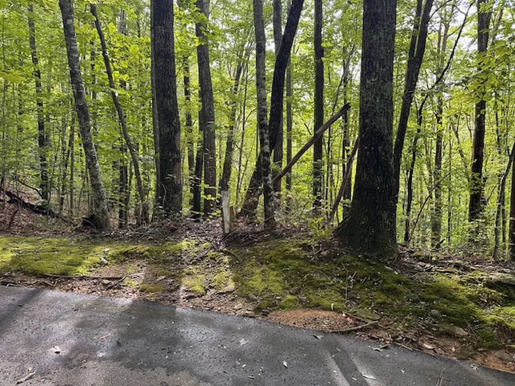 Lot 20 Rock Creek Court Sapphire NC 28774