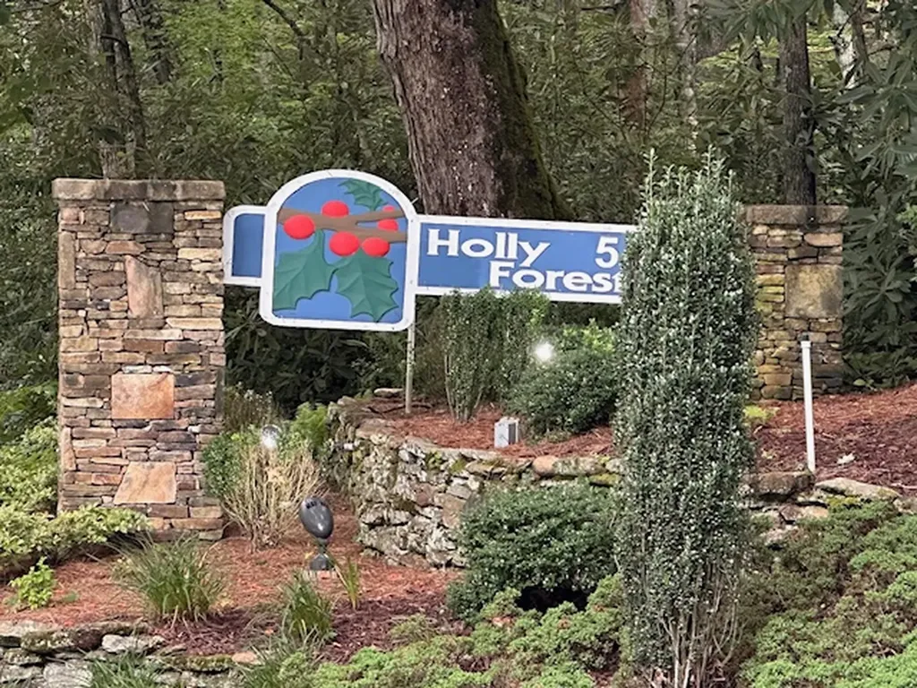 Lot 20 Rock Creek Court Sapphire NC 28774