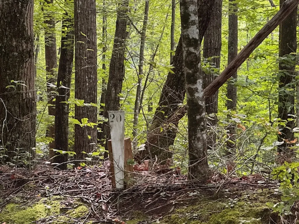 Lot 20 Rock Creek Court Sapphire NC 28774