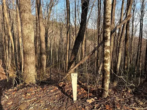 Lot 20 Rock Creek Court Sapphire NC 28774