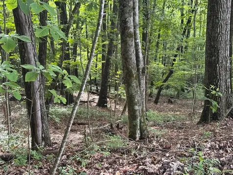 Lot 20 Rock Creek Court Sapphire NC 28774