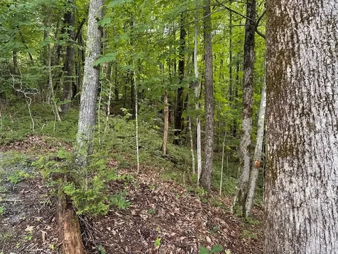 Lot 20 Rock Creek Court Sapphire NC 28774