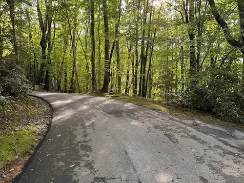 Lot 20 Rock Creek Court Sapphire NC 28774