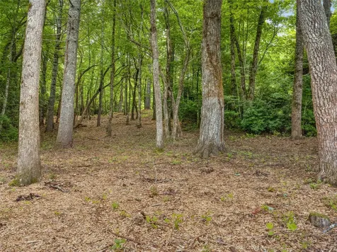 E49R Cold Mountain Road Lake Toxaway NC 28747