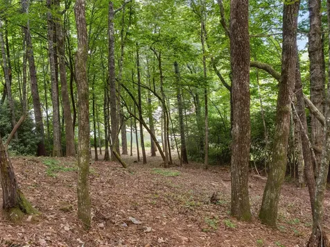E49R Cold Mountain Road Lake Toxaway NC 28747