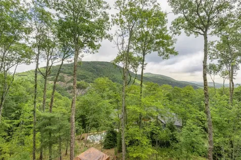 80 Frond Court Sapphire NC 28774