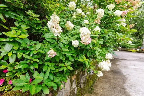 289 Lower Brushy Face Road Highlands NC 28741