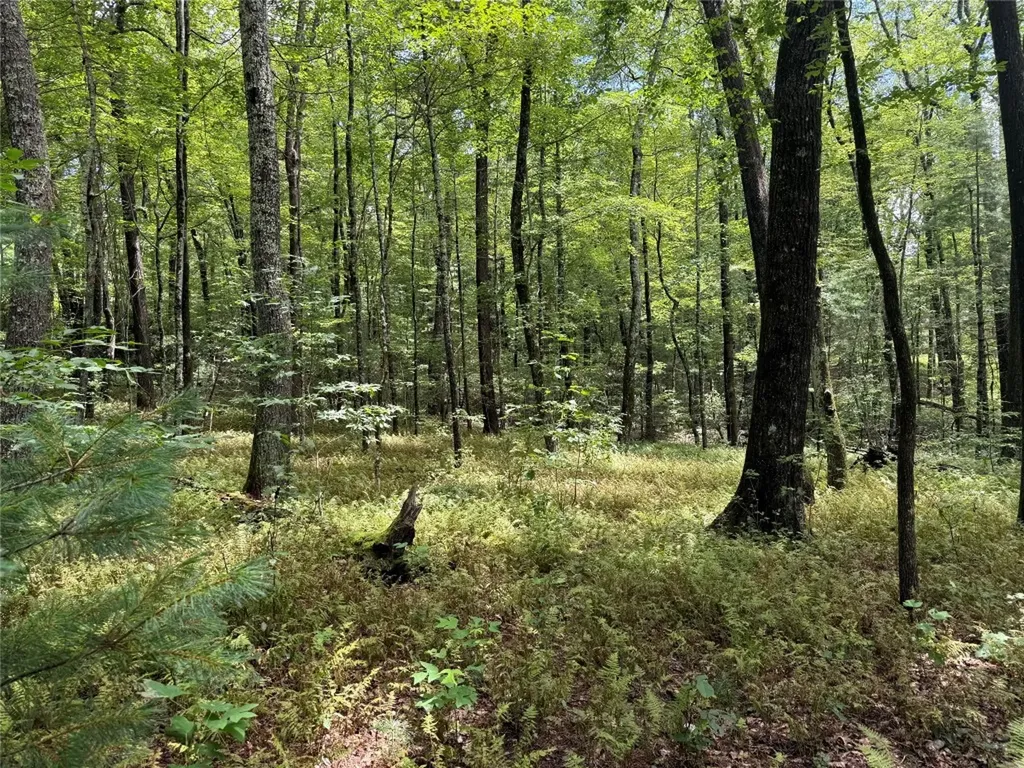 LOT112 Uplands Road Cashiers NC 28717