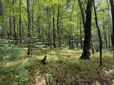 LOT112 Uplands Road Cashiers NC 28717