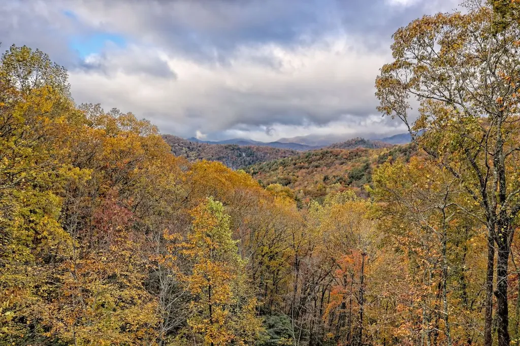 78 Natural Bridge Road Scaly Mountain NC 28755