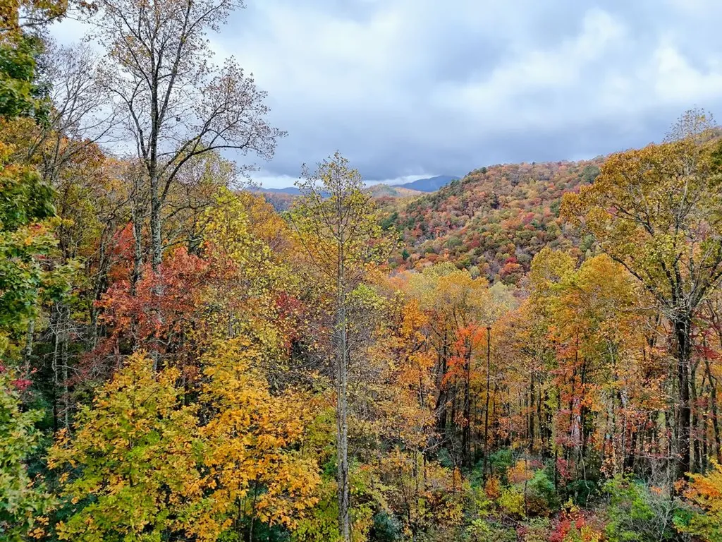 78 Natural Bridge Road Scaly Mountain NC 28755