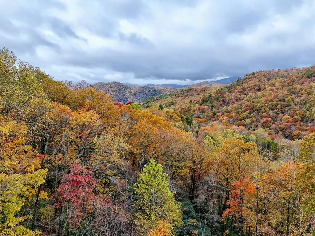 78 Natural Bridge Road Scaly Mountain NC 28755