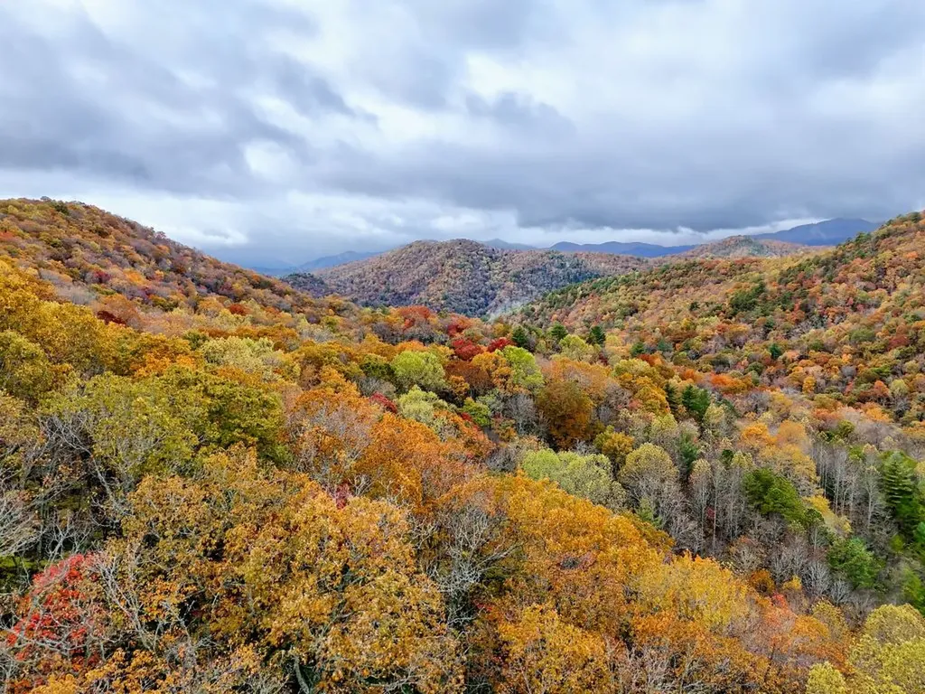 78 Natural Bridge Road Scaly Mountain NC 28755