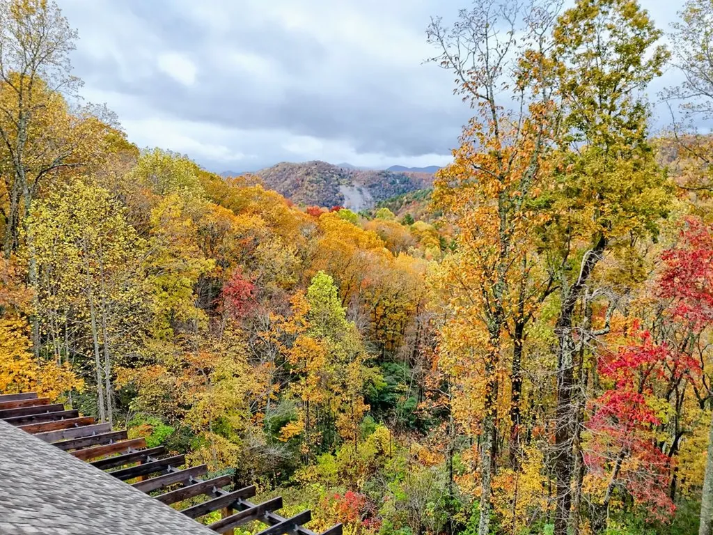 78 Natural Bridge Road Scaly Mountain NC 28755