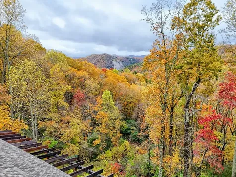 78 Natural Bridge Road Scaly Mountain NC 28755