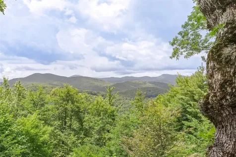 1687 Shirley Pressley Road Glenville NC 28736