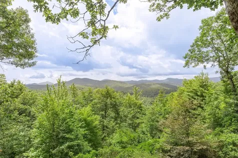 1687 Shirley Pressley Road Glenville NC 28736