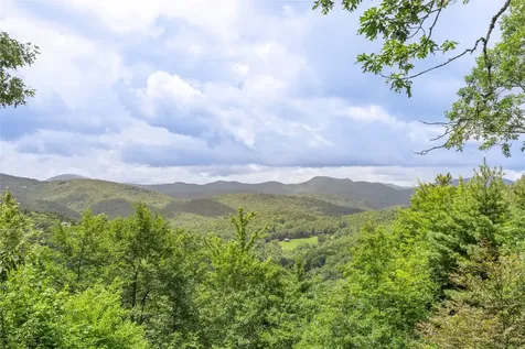 1687 Shirley Pressley Road Glenville NC 28736